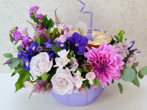 Purple Storm - dovleac cu flori